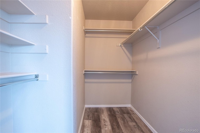 spacious closet featuring dark wood-type flooring