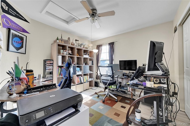 office with ceiling fan and light hardwood / wood-style flooring