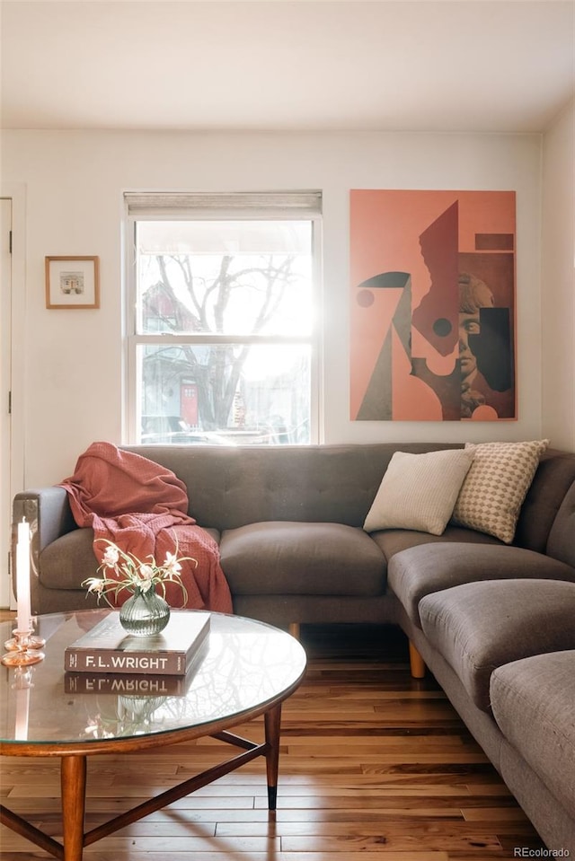 living area featuring hardwood / wood-style flooring