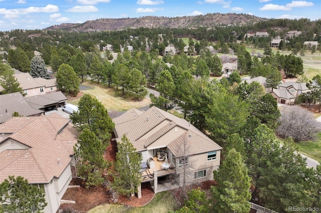 3228 Country Club Pkwy, Castle Rock, CO 80108 - photo 43