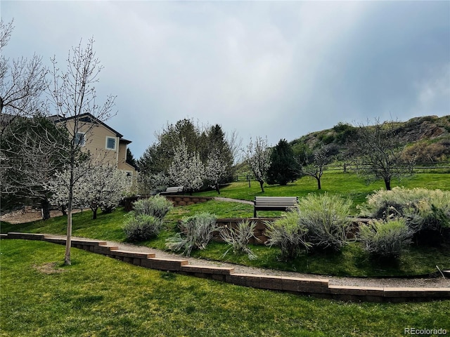 11328 W Radcliffe Dr, Littleton, CO 80127 - photo 24