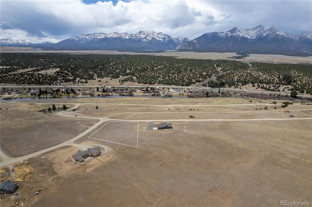 24242 River Meadow Dr, Buena Vista, CO 81211