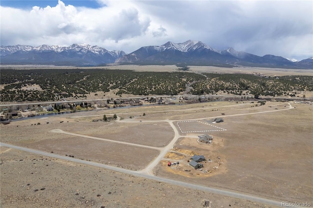 24242 River Meadow Dr, Buena Vista, CO 81211