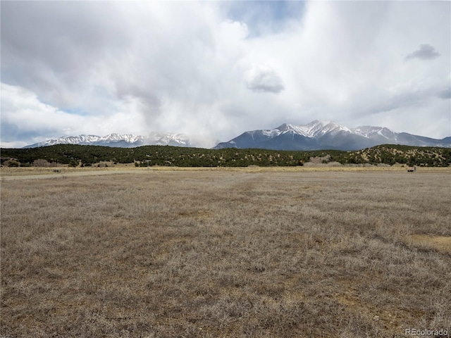 24242 River Meadow Dr, Buena Vista, CO 81211