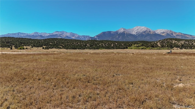 24242 River Meadow Dr, Buena Vista, CO 81211
