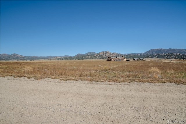 24242 River Meadow Dr, Buena Vista, CO 81211