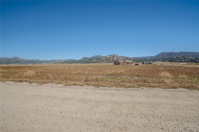 24242 River Meadow Dr, Buena Vista, CO 81211