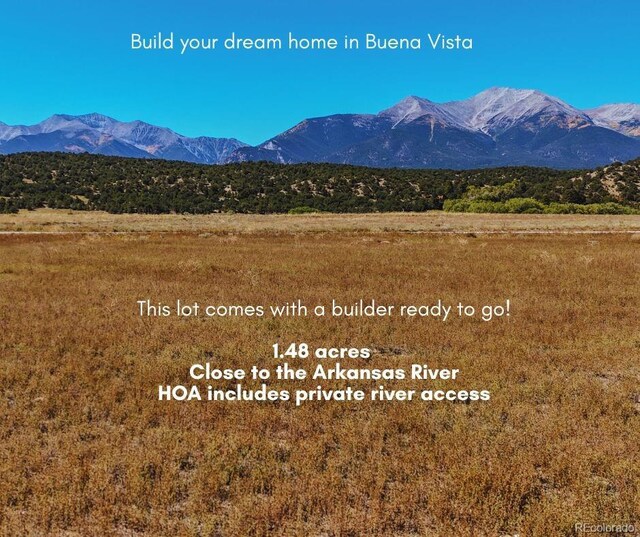 24242 River Meadow Dr, Buena Vista, CO 81211