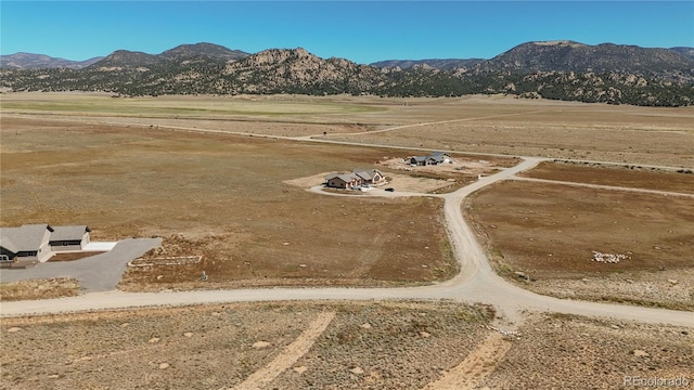 24242 River Meadow Dr, Buena Vista, CO 81211