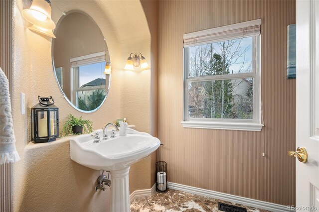 7284 Timbercrest Ln, Castle Pines, CO 80108 - bathroom featuring plenty of natural light