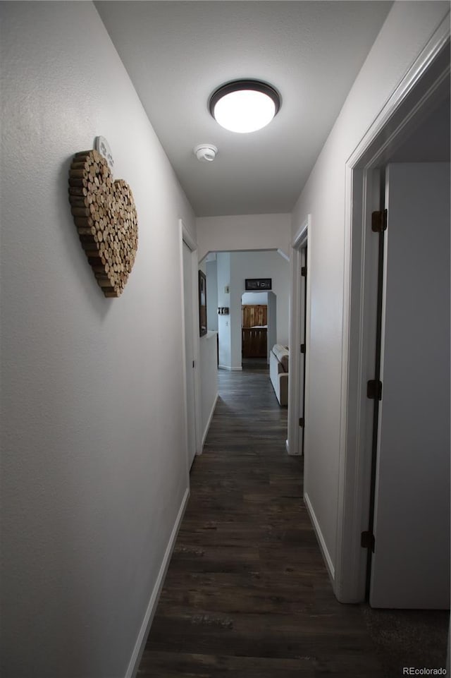 7988 S Johnson Ct, Littleton, CO 80128 - photo 18