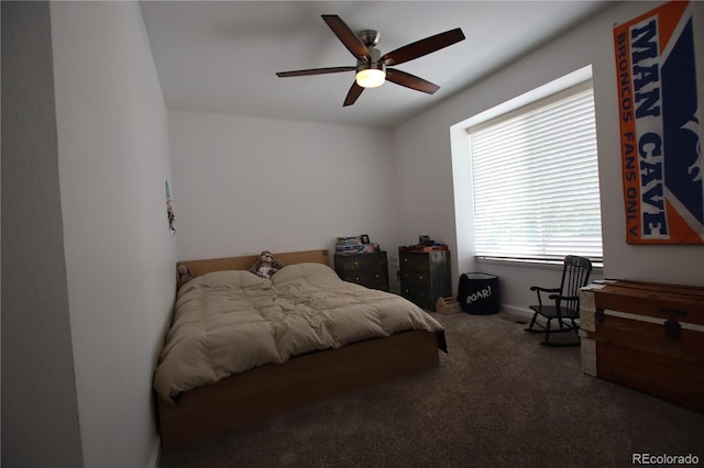 7988 S Johnson Ct, Littleton, CO 80128 - photo 19