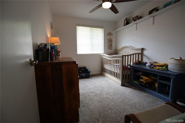 7988 S Johnson Ct, Littleton, CO 80128 - photo 20