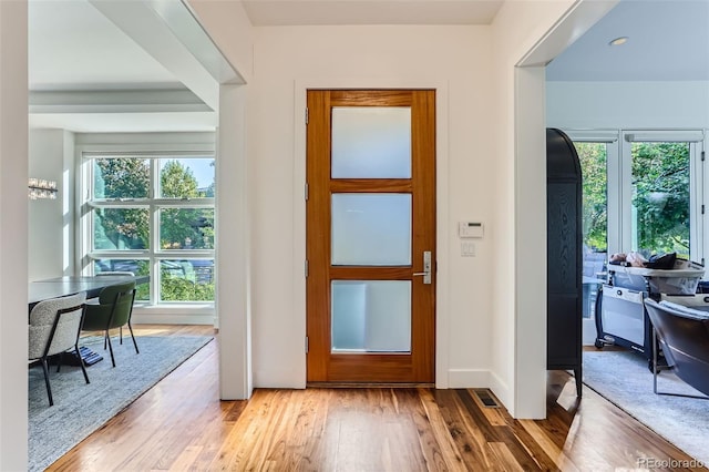 doorway to outside with wood-type flooring and plenty of natural light