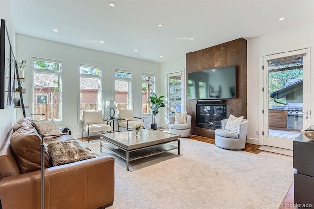 living room with a large fireplace and light hardwood / wood-style flooring