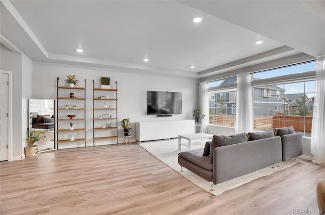 living room featuring a raised ceiling and light wood-type flooring