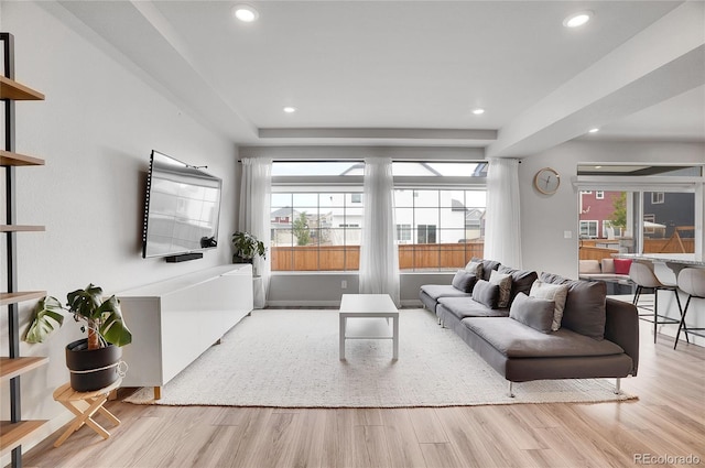 living room featuring light hardwood / wood-style floors and plenty of natural light