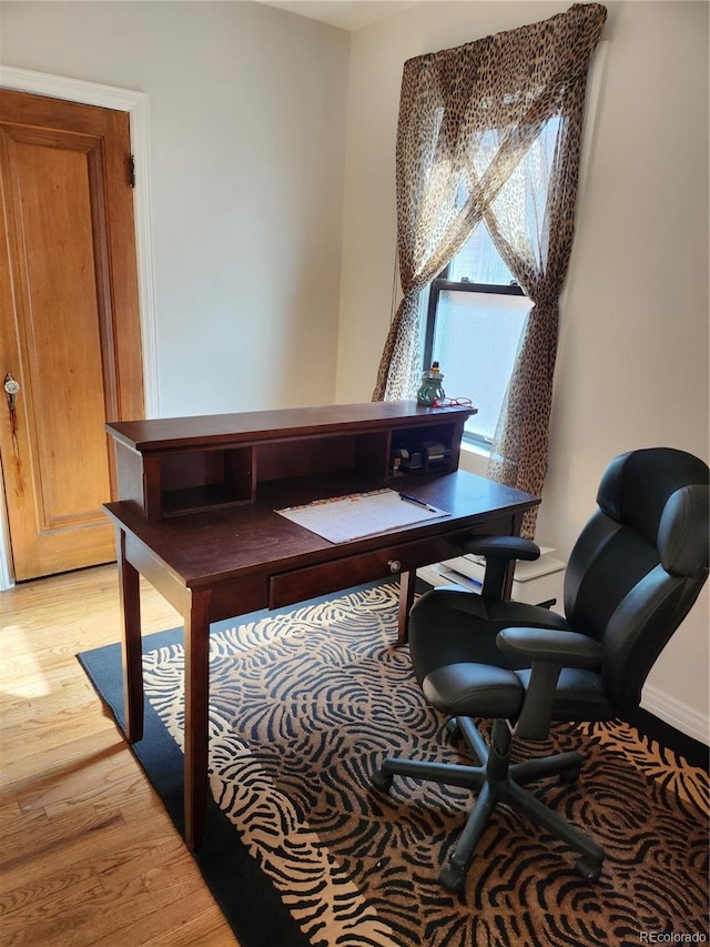 office featuring light hardwood / wood-style flooring