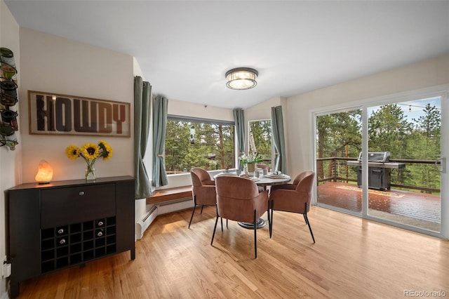 29663 Paint Brush Dr, Evergreen, CO 80439 - dining space with light wood-style floors and baseboard heating