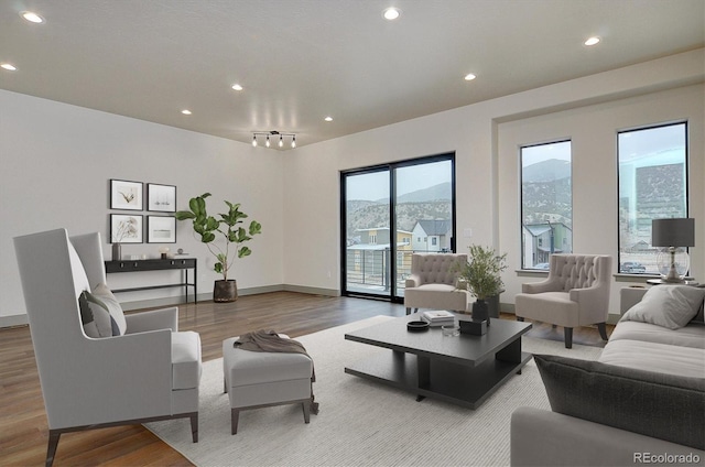 6450 Cleora Rd Unit C, Salida, CO 81201 - living area featuring wood finished floors, recessed lighting, baseboards, and a mountain view