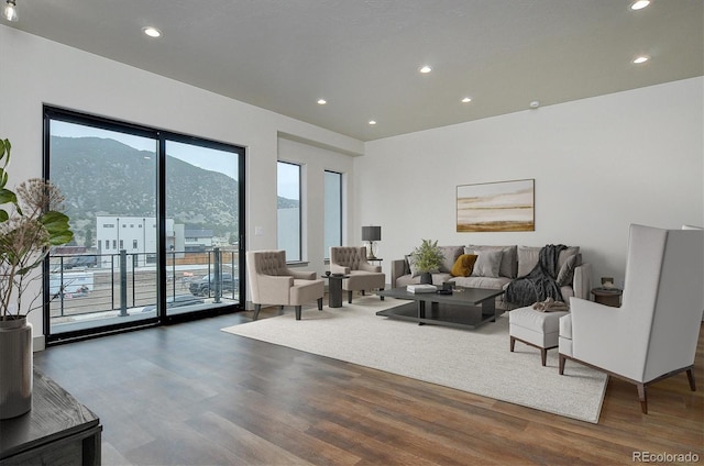 6450 Cleora Rd Unit C, Salida, CO 81201 - living area with wood finished floors and recessed lighting