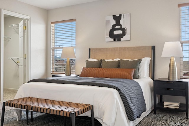 9579 Bighorn Way, Littleton, CO 80125 - carpeted bedroom featuring multiple windows, a closet, and a walk in closet