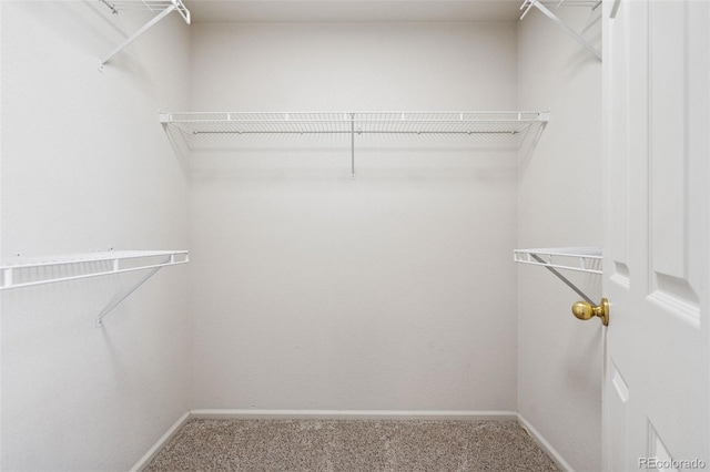 9579 Bighorn Way, Littleton, CO 80125 - spacious closet with carpet floors
