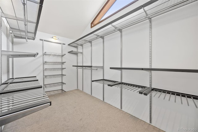 6207 Elbert Pl, Parker, CO 80134 - walk in closet featuring carpet flooring and vaulted ceiling