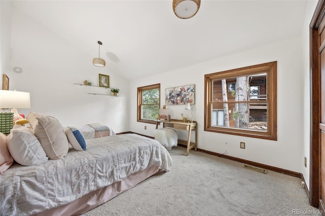 6207 Elbert Pl, Parker, CO 80134 - bedroom featuring carpet floors and lofted ceiling