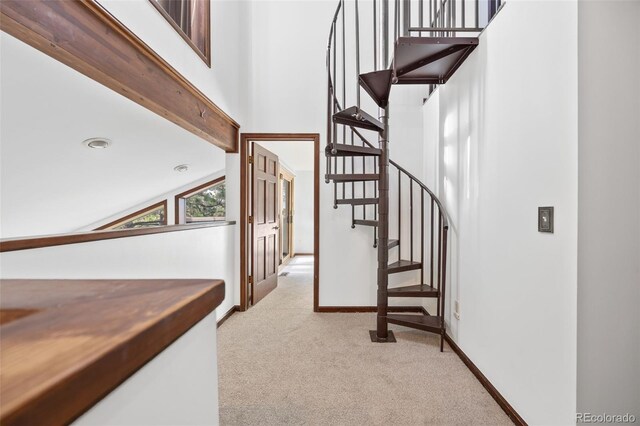6207 Elbert Pl, Parker, CO 80134 - staircase featuring carpet and a towering ceiling