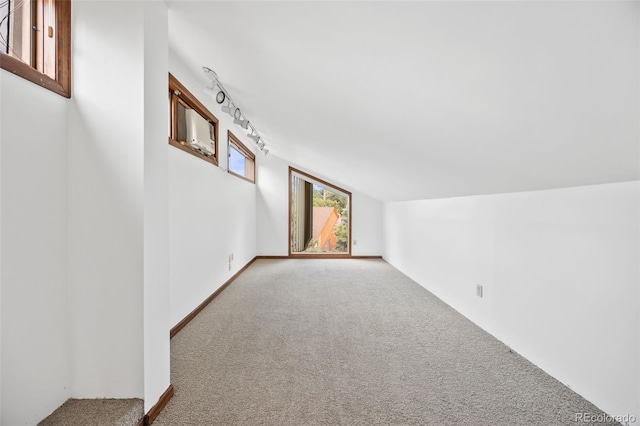 6207 Elbert Pl, Parker, CO 80134 - bonus room with carpet and lofted ceiling