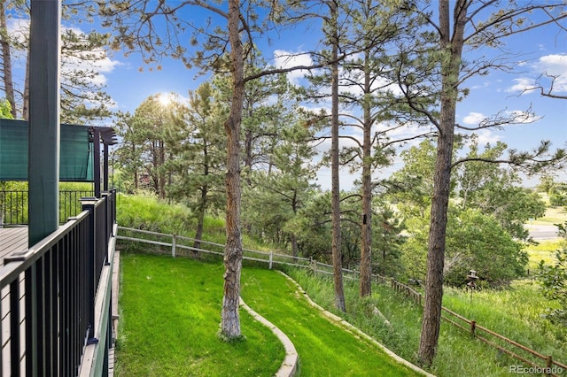 6207 Elbert Pl, Parker, CO 80134 - view of yard