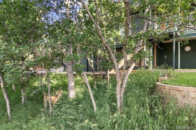 6207 Elbert Pl, Parker, CO 80134 - view of yard with a deck