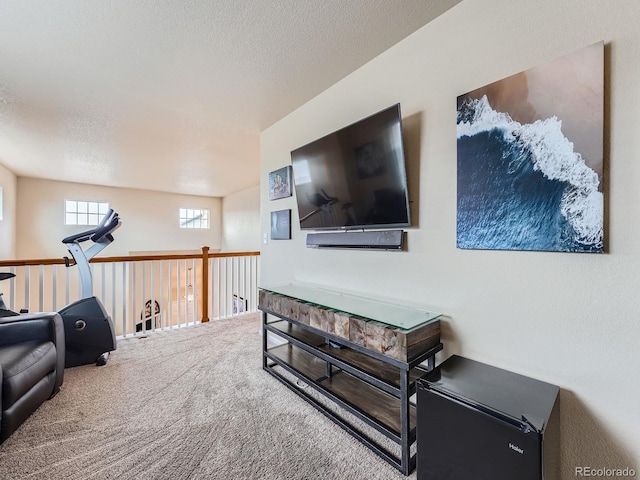 21220 E Nassau Ave, Aurora, CO 80013 - living room featuring carpet flooring and a textured ceiling