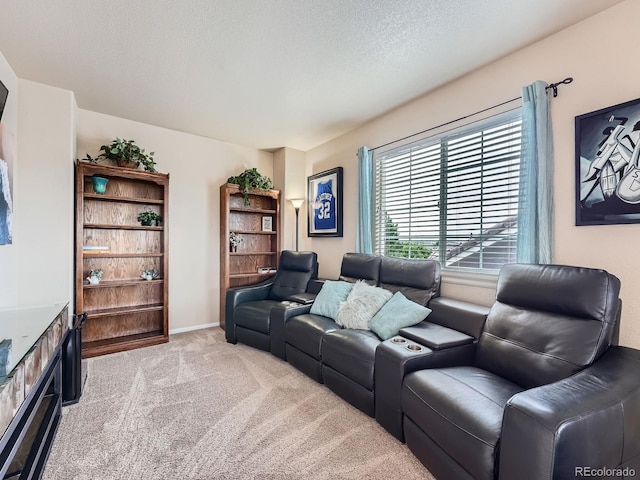 21220 E Nassau Ave, Aurora, CO 80013 - living room with carpet floors and a textured ceiling