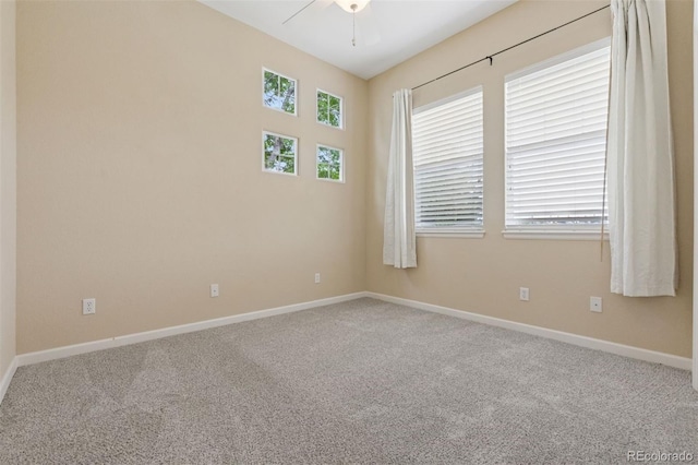 9682 W Indore Dr, Littleton, CO 80128 - photo 23