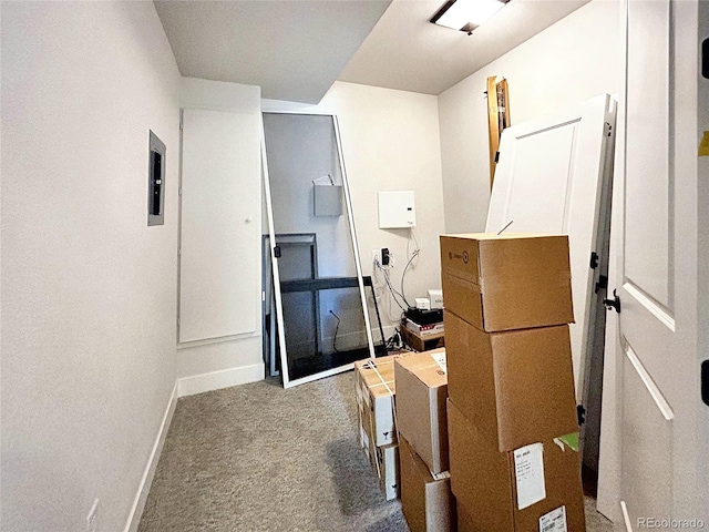 miscellaneous room with carpet floors and electric panel