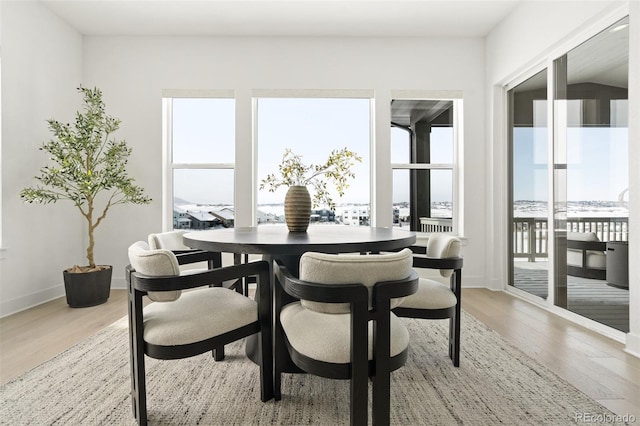 dining room featuring hardwood / wood-style flooring and a healthy amount of sunlight