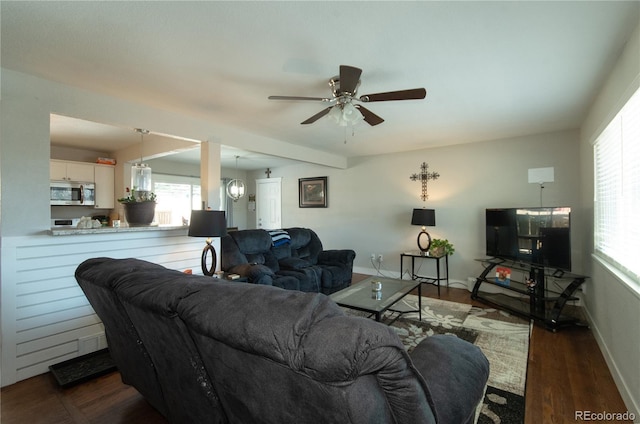 living room featuring dark wood-type flooring, ceiling fan, and plenty of natural light