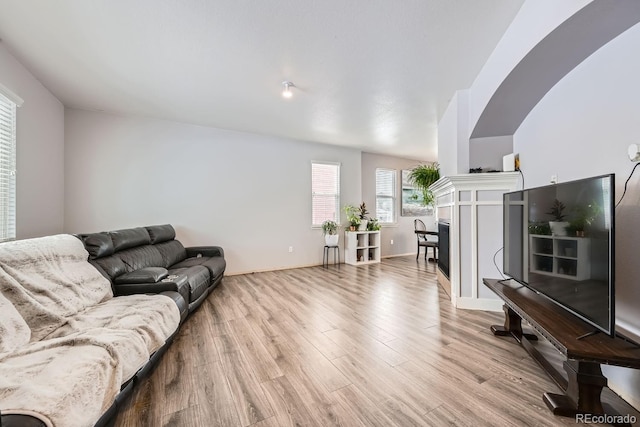 living room featuring light hardwood / wood-style floors