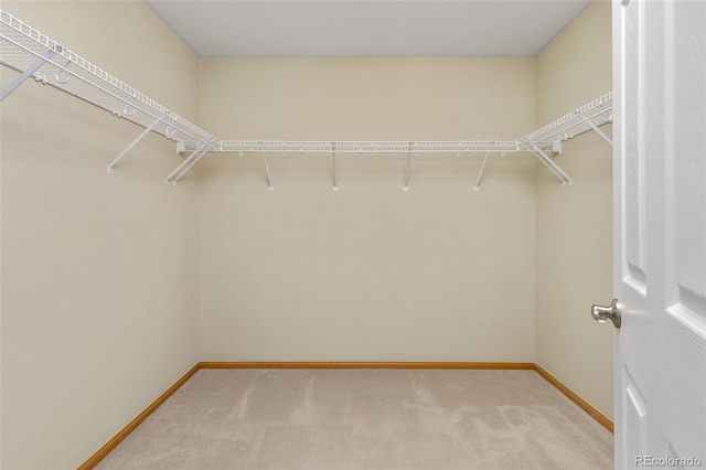 spacious closet with light carpet