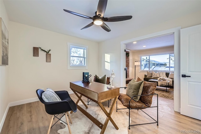 office with plenty of natural light, light hardwood / wood-style floors, and ceiling fan