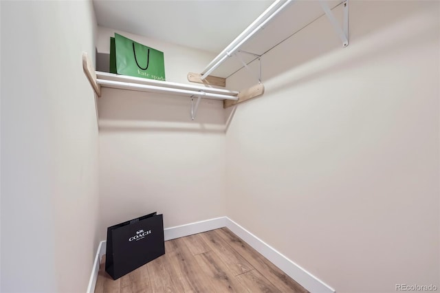 walk in closet with hardwood / wood-style flooring