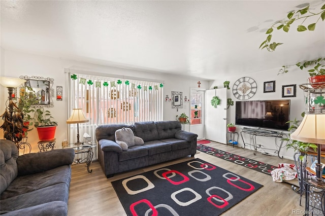 1112 W Mesa Ave Unit 1114, Pueblo, CO 81004 - living area with wood finished floors