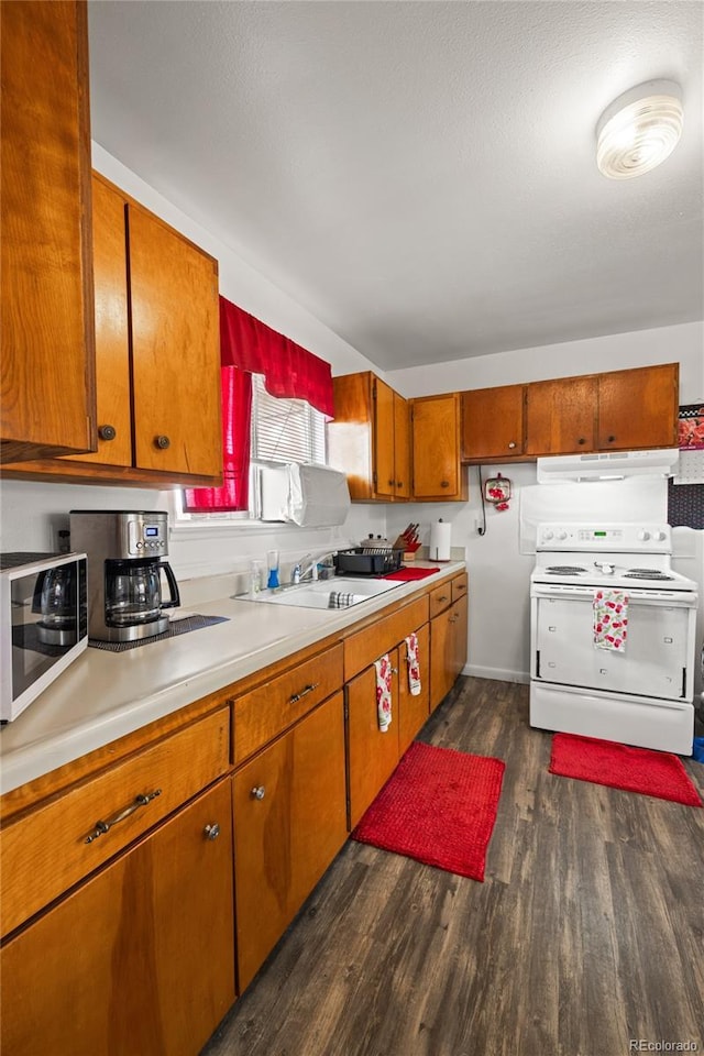 1112 W Mesa Ave Unit 1114, Pueblo, CO 81004 - kitchen with electric range, under cabinet range hood, a sink, dark wood-type flooring, and light countertops