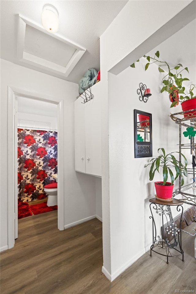 1112 W Mesa Ave Unit 1114, Pueblo, CO 81004 - corridor featuring wood finished floors and baseboards