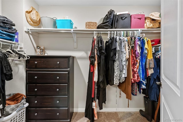 spacious closet with carpet