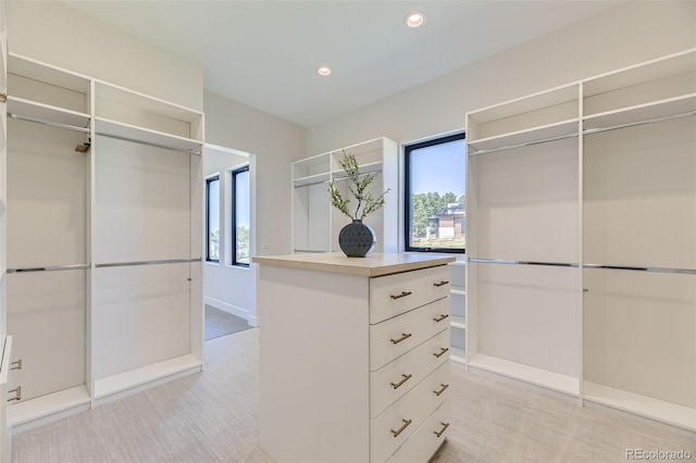 walk in closet with light carpet