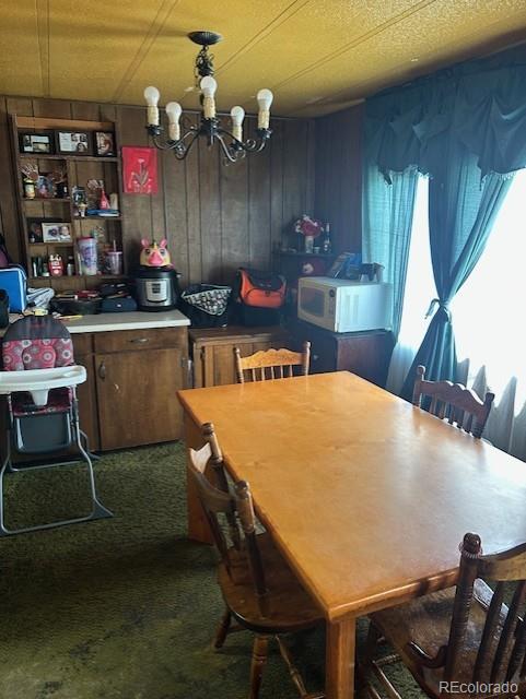 270 Grand Ave, Del Norte, CO 81132 - photo 4