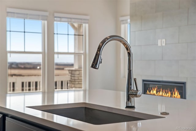 room details with a fireplace and a sink